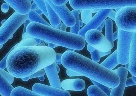 prevent legionella - water sampling
